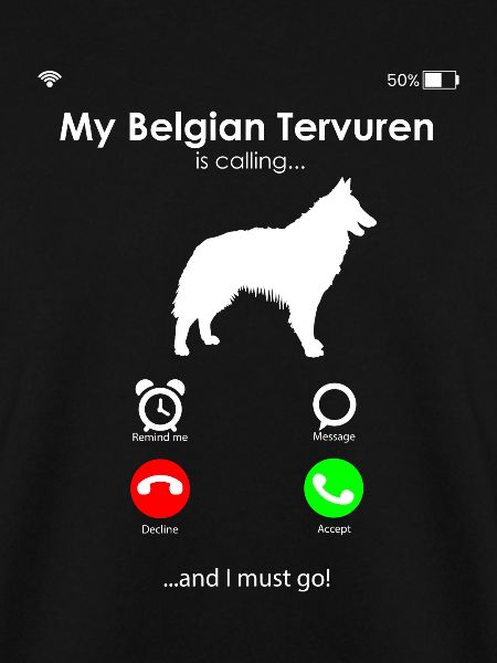Belgian Tervuren