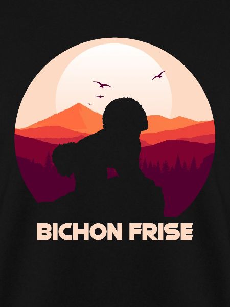 Bichon Frise