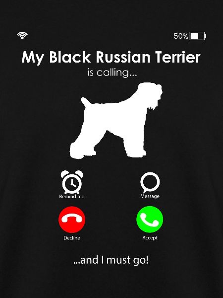Black Russian Terrier