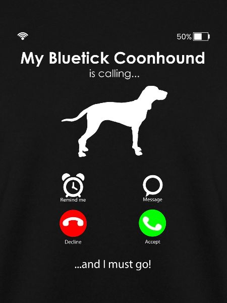 Bluetick Coonhound Chien