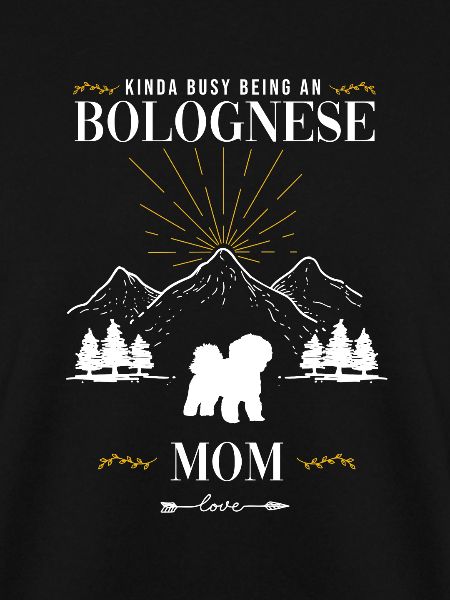 Bolognese dog