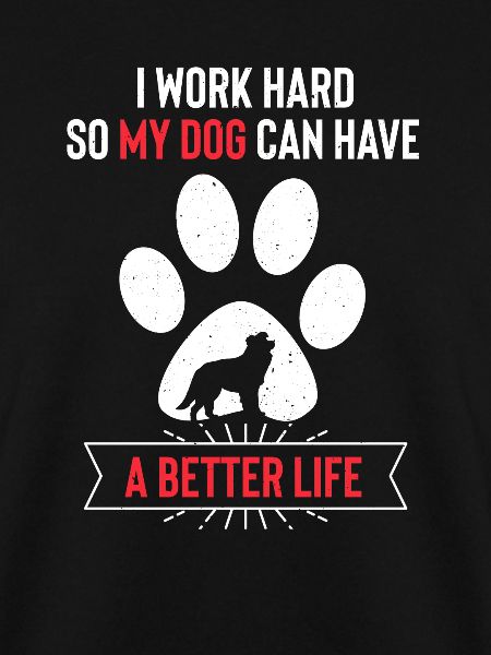 Border Collie Hund