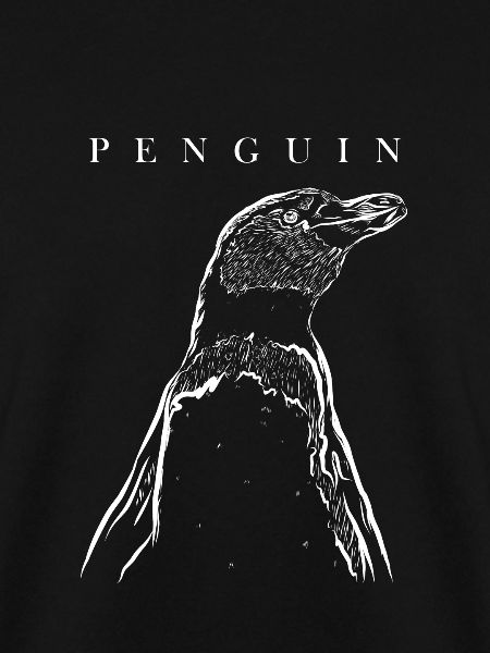 Seevogel Königspinguin Kaiserpinguin Pinguin