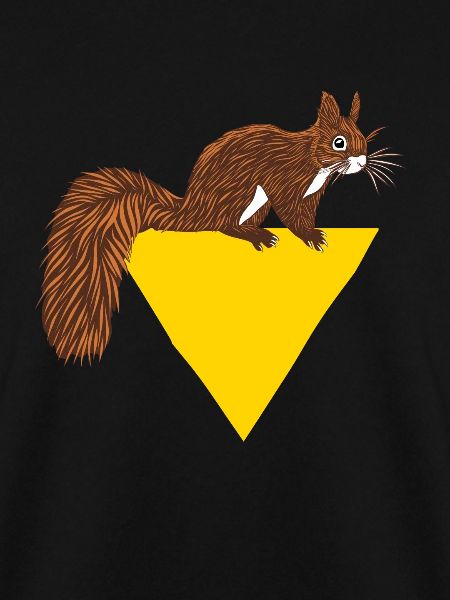 Squirrel Fuchshörnchen Grauhörnchen Eichhörnchen