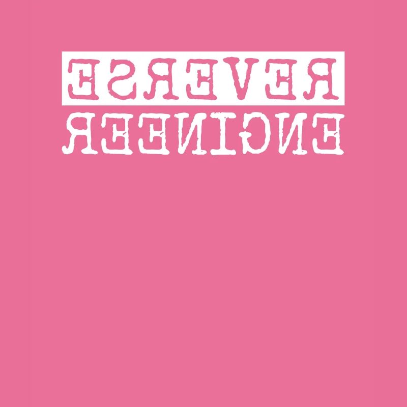 Reverse Engineer Software Engineer Developer