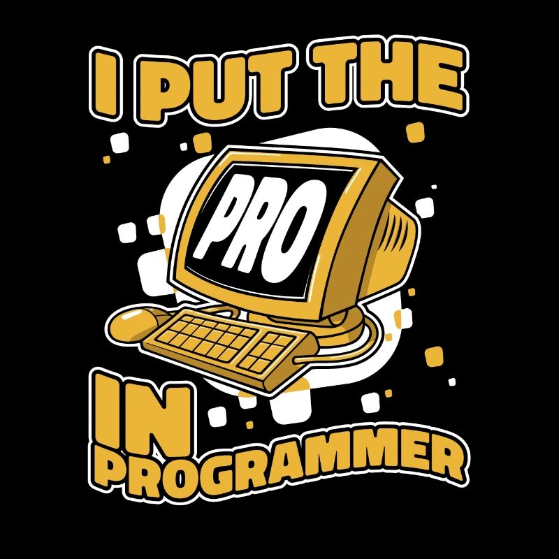 J’ai mis le pro dans Programmeur Developer Coder