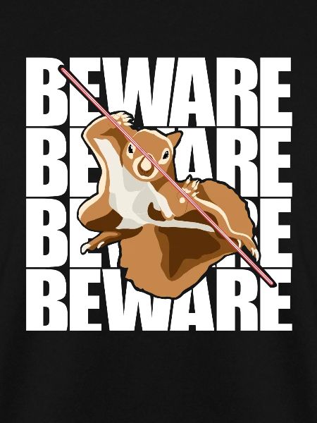 Beware Grauhörnchen Squirrel Fuchshörnchen