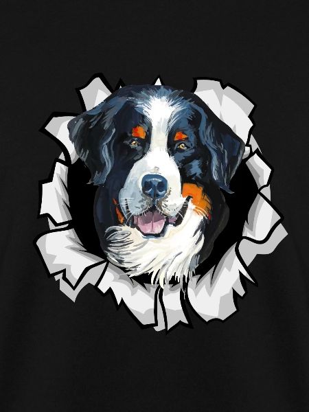 Bernese Mountain Dog