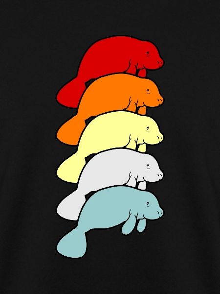 Manatee