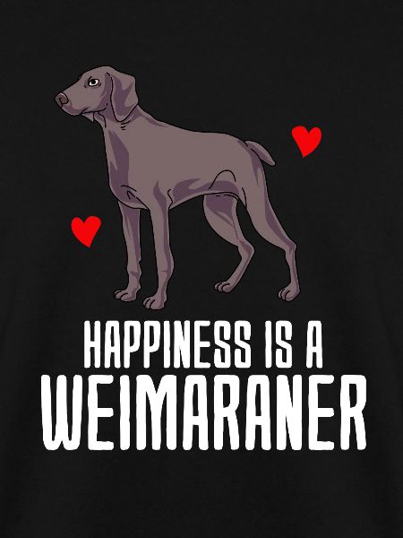 Weimaraner