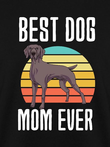 Weimaraner