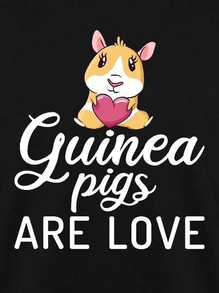 Süßes Meerschweinchen-Geschenk
