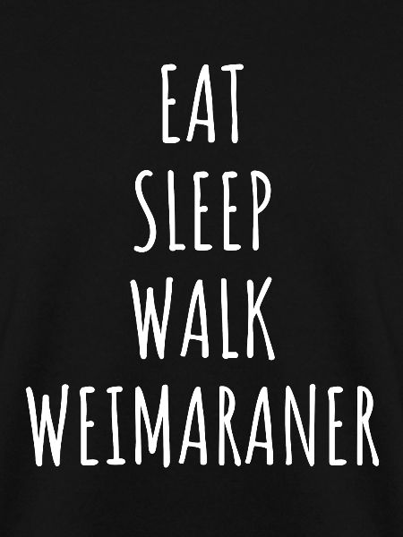 Weimaraner