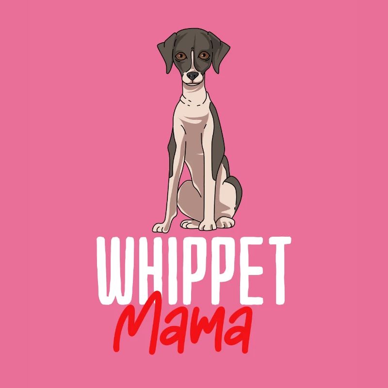 Whippet