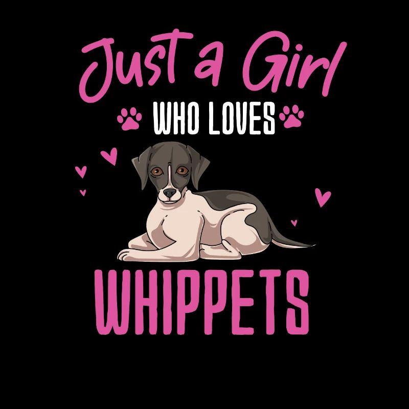 Whippet