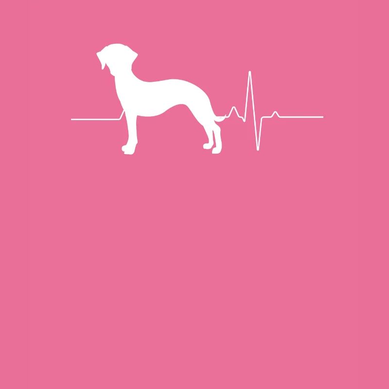 Whippet