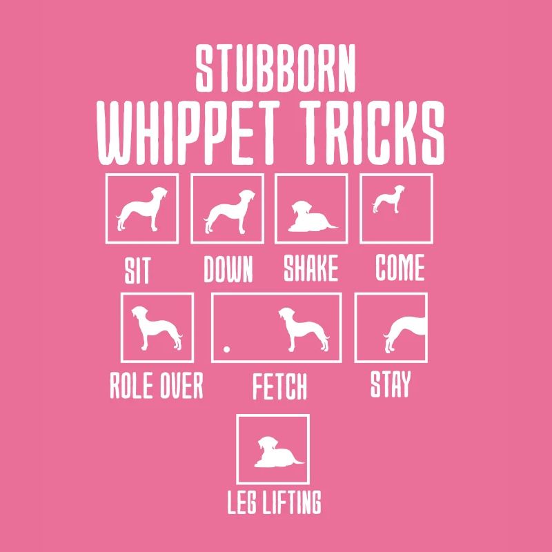 Whippet