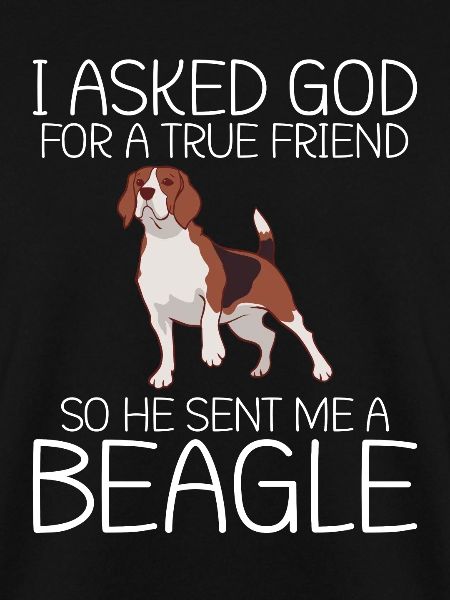 Beagle Gift Beagle Owner