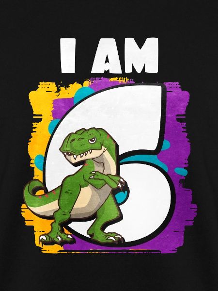 6th birthday