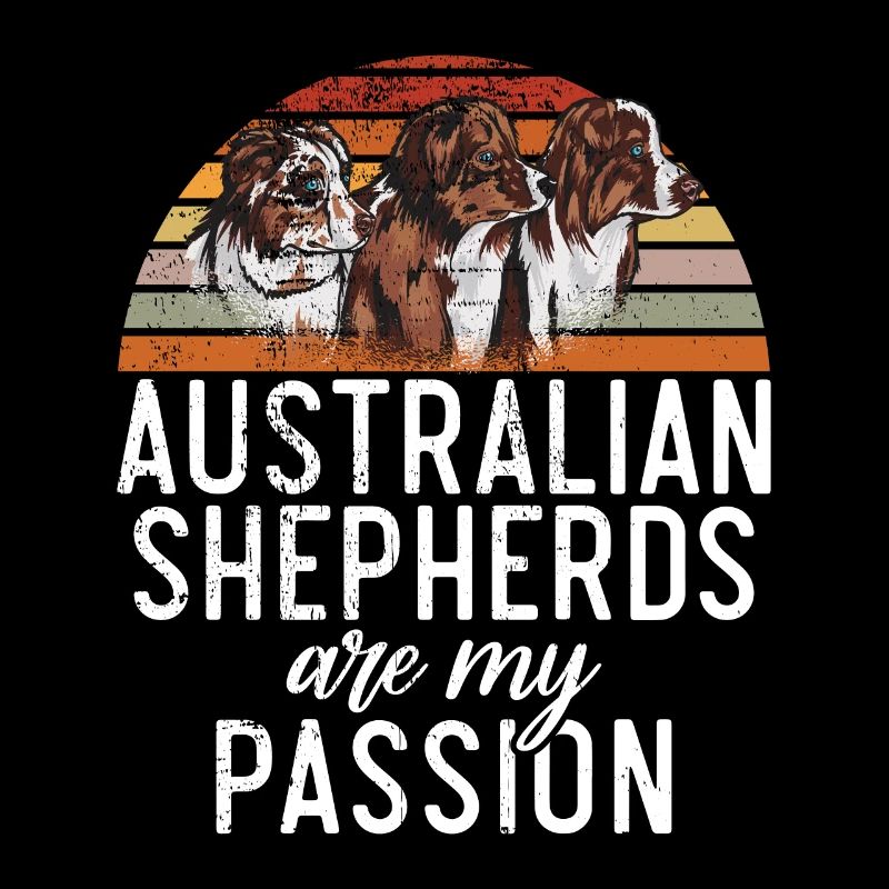 Cadeaux de berger australien