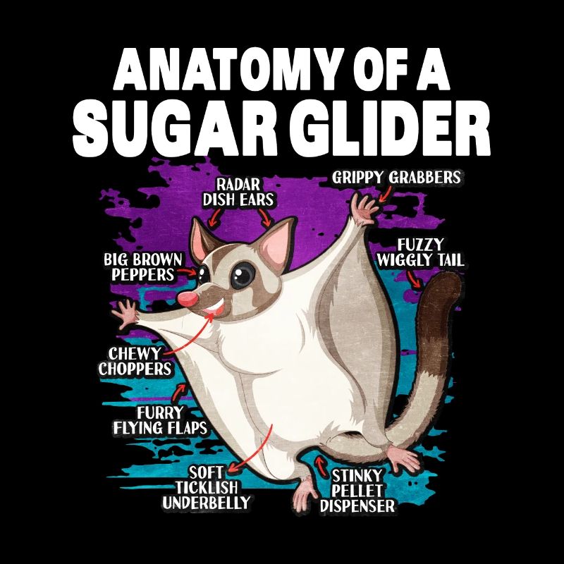 Flughörnchen