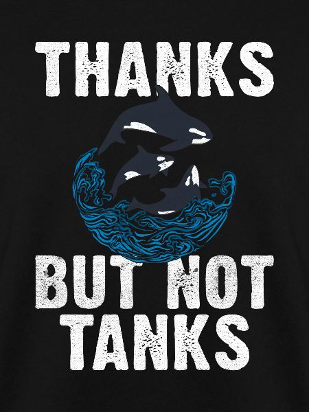 Orca Wal Geschenke