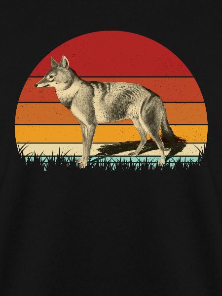 Jackal