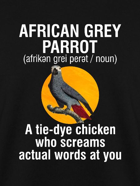 Afrikanisches Graupapagei Geschenk