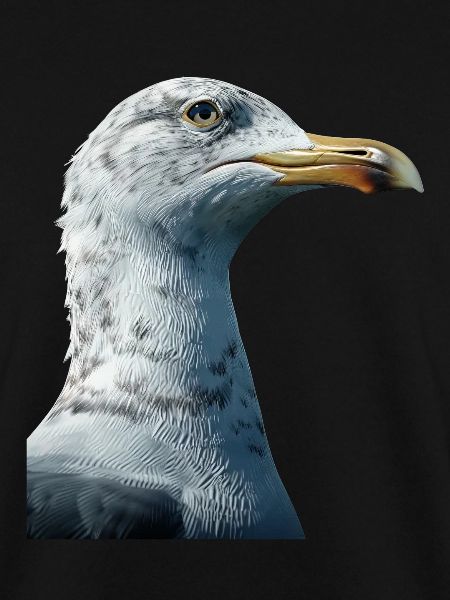 Gull