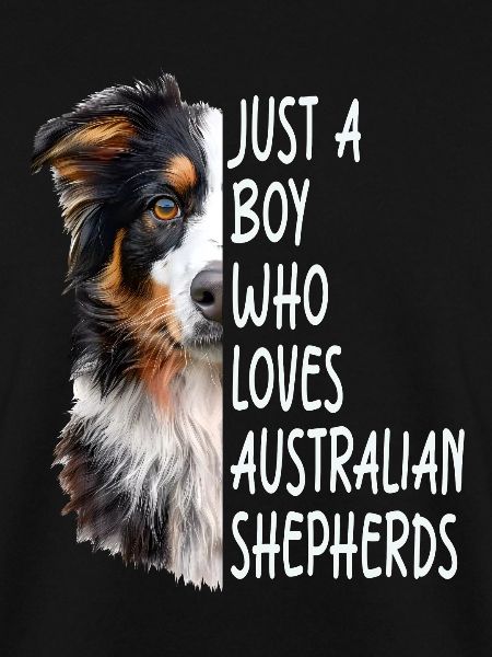 Australian shepherd