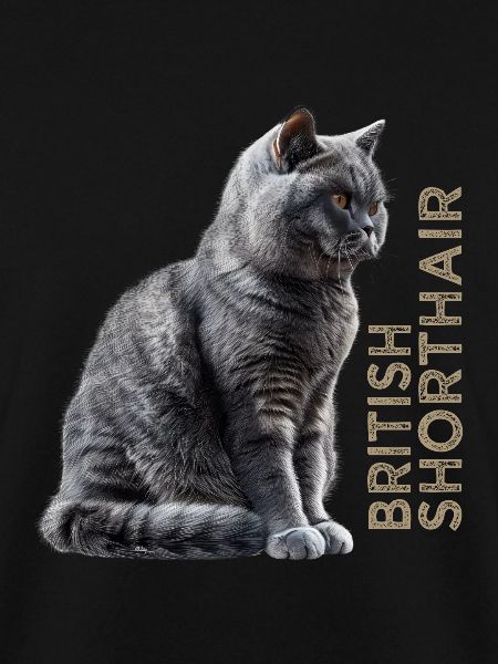 British shorthair