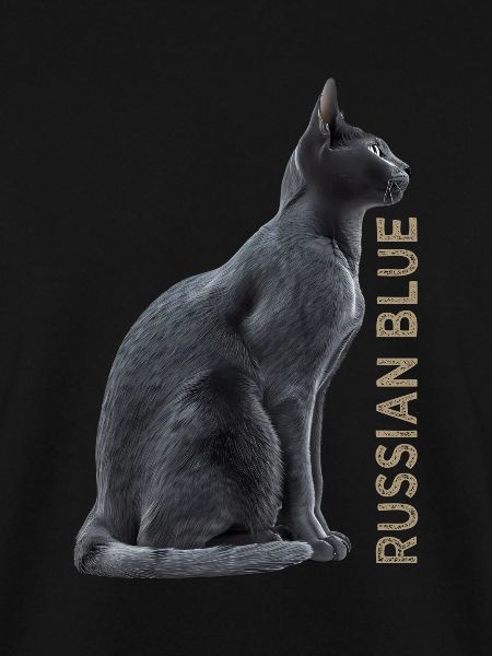 Russian blue