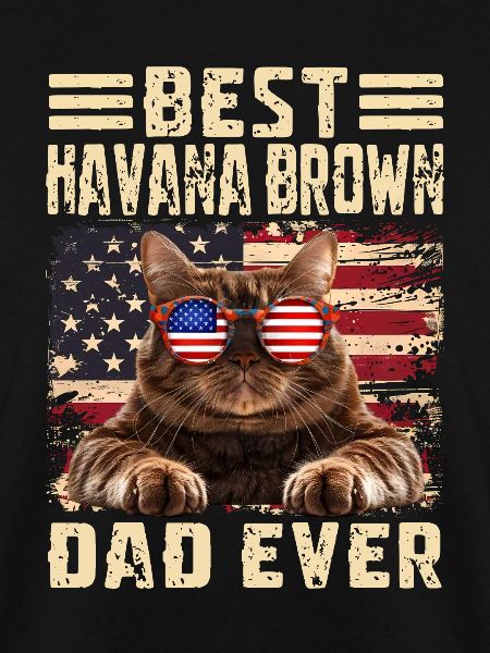 Havana Brown Papa