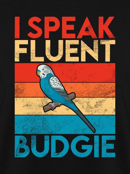 Budgie Gift