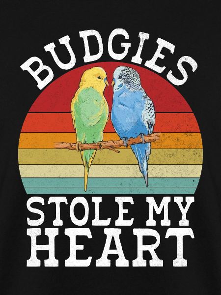 Budgie Gift