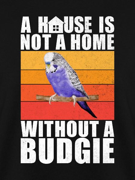 Budgie Gift