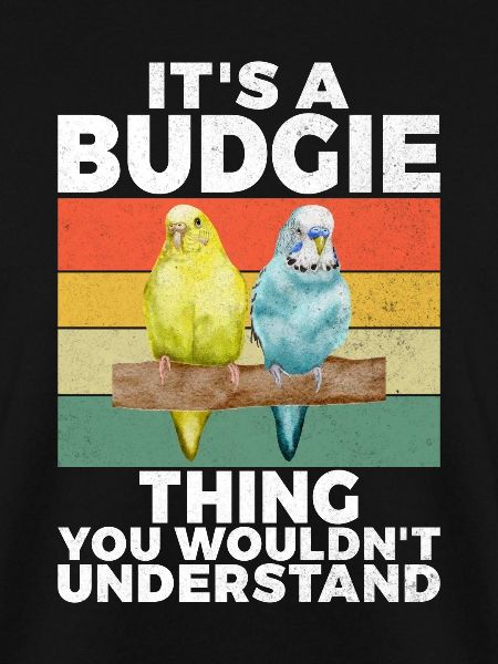 Budgie Gift