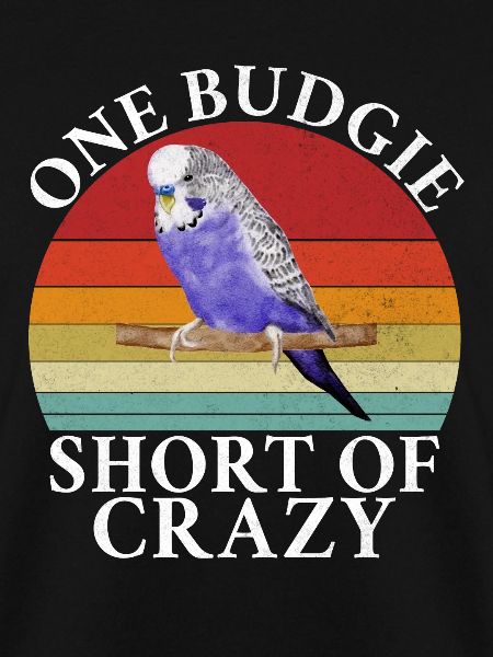 Budgie Gift