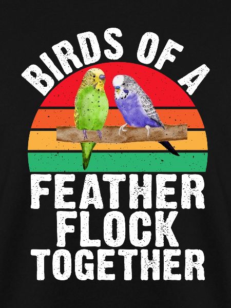 Budgie Gift