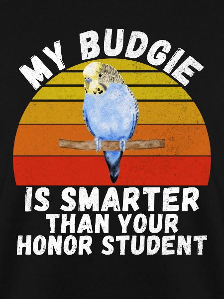 Budgie Gift