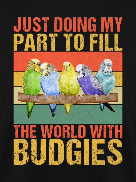 Budgie Gift