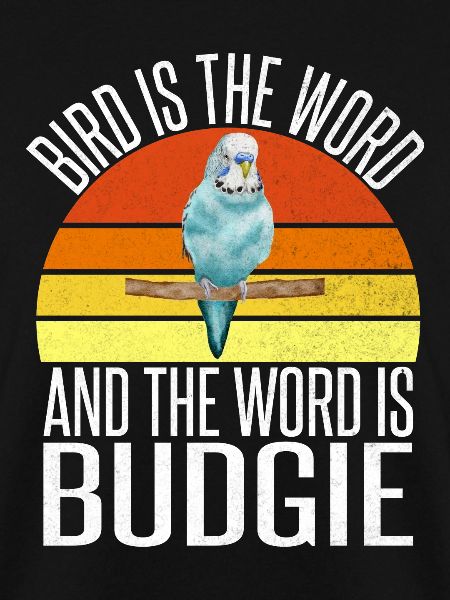 Budgie Gift