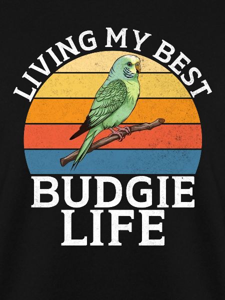 Budgie Gift