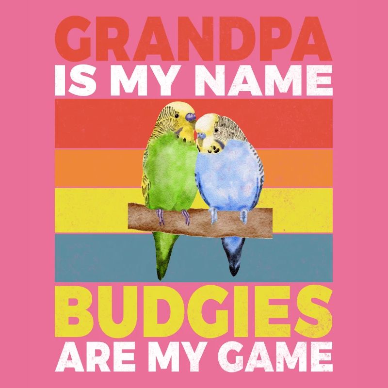 Budgie Gift
