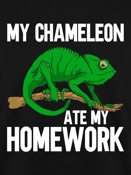 Chameleon Gifts