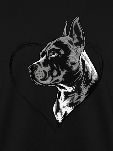 Amerikanischer Pitbull Terrier