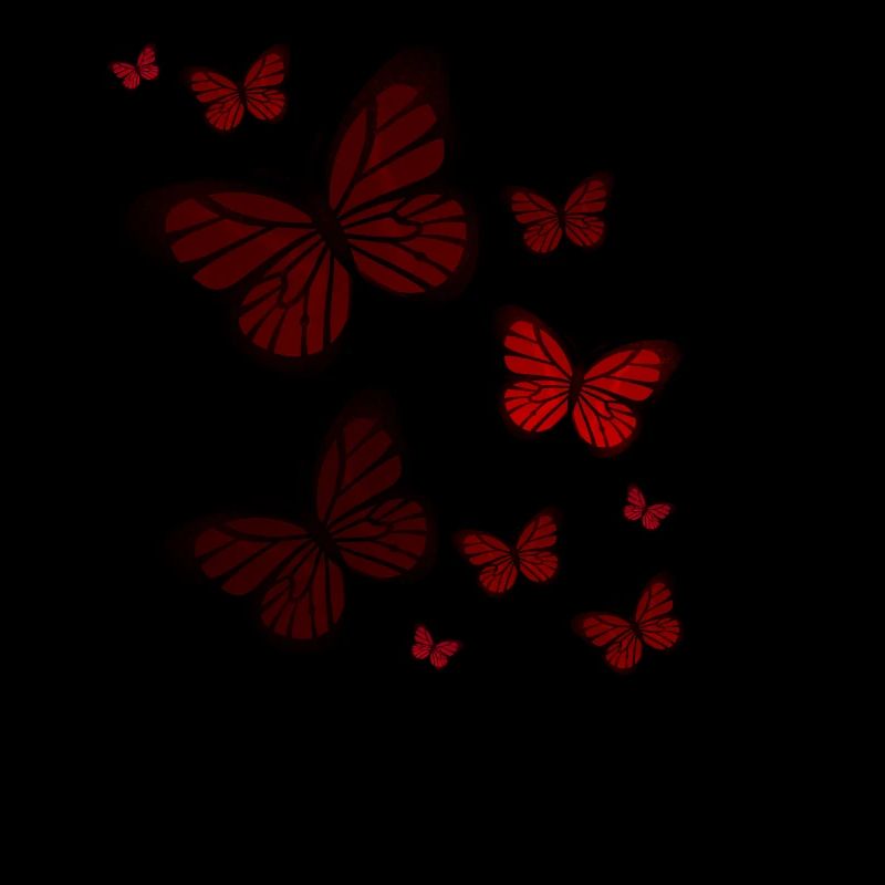 Papillon Papillon Papillon enfants