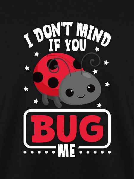 Ladybug Ladybug Entomology Insects