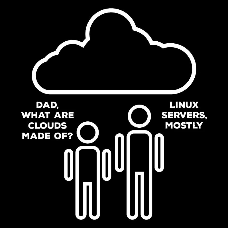 Les développeurs Web