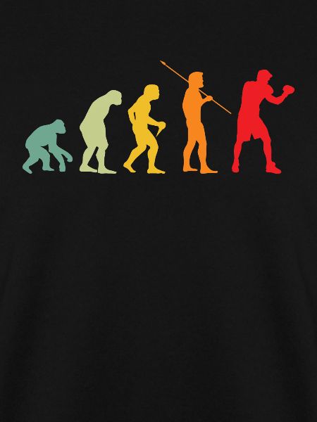Boxe Evolution Boxe